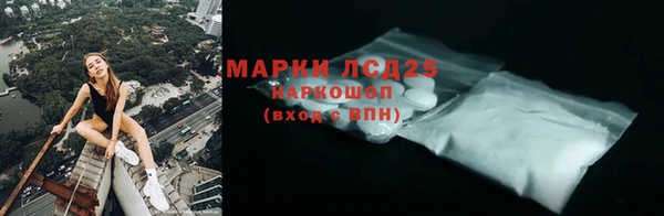 прущие грибы Алексеевка
