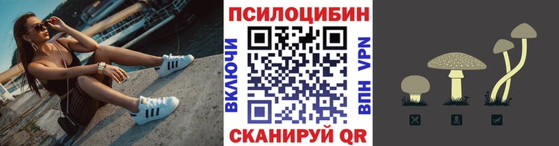 Псилоцибиновые грибы Psilocybe  Коркино 